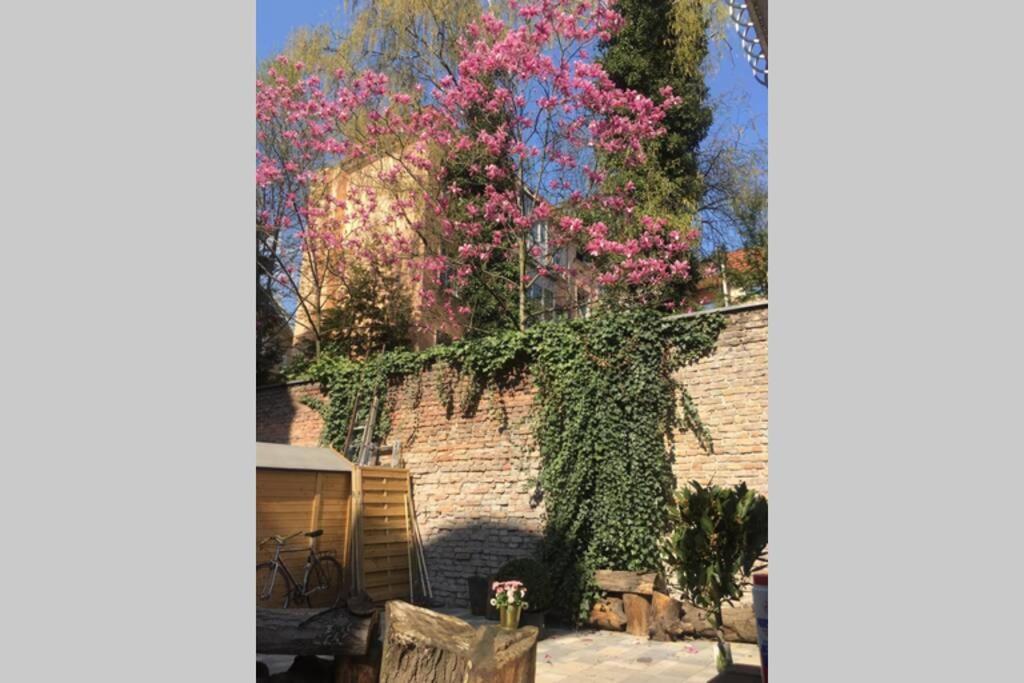 柏林Beautiful Backyard Remise公寓 外观 照片